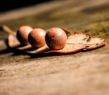 免费24小时不停呼叫软件下载